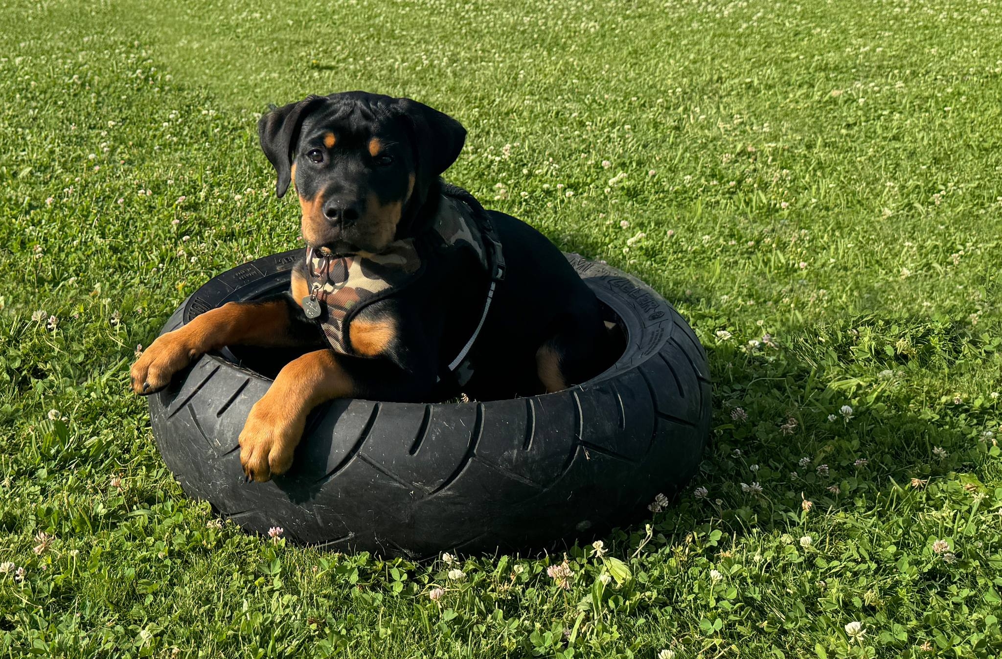 449318290_1012079710922277_169374453773890746_n